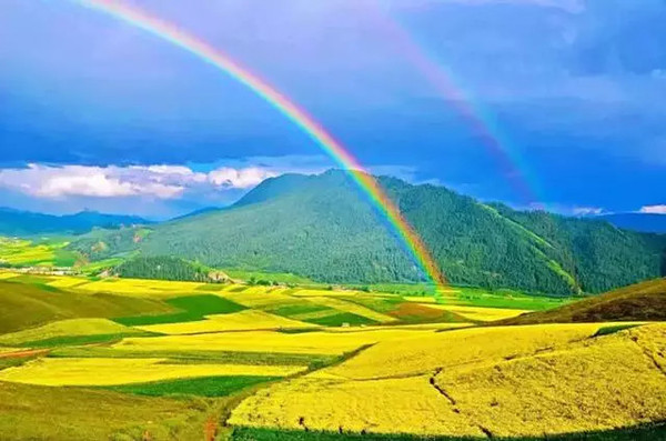 青海秘境,自然与人文的瑰宝之旅