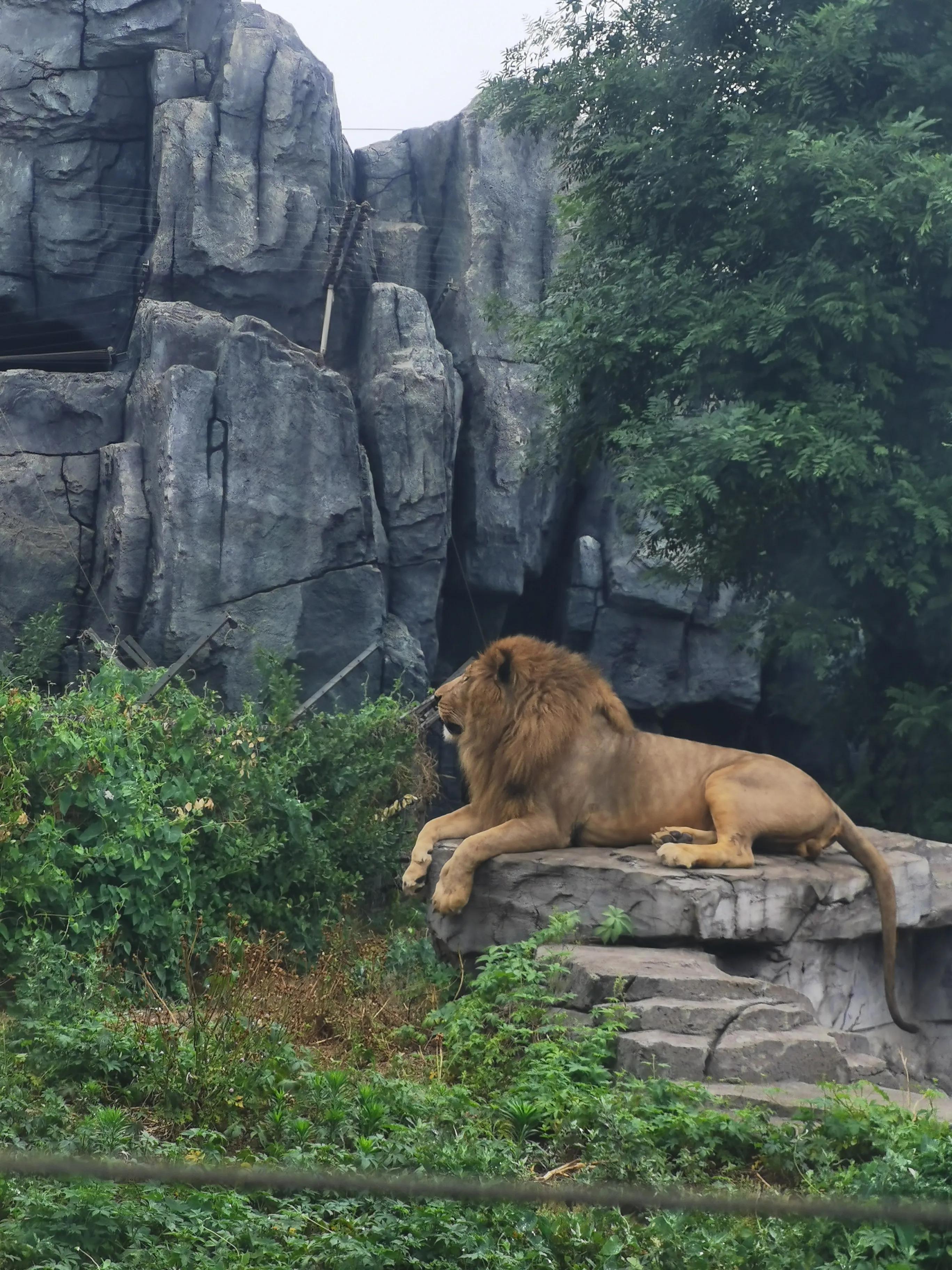唐山,钢铁之城崛起记